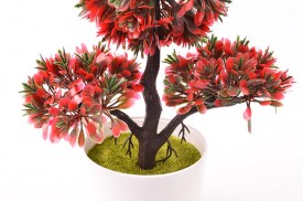 Bonsai 3 ramas con maceta (1).jpg